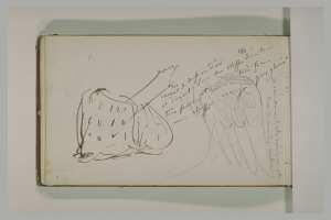 Etude d'une aile et d'une étoffe