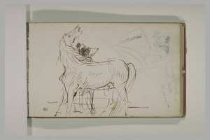 Etude de la tête d'un vieil arabe et d'un cheval