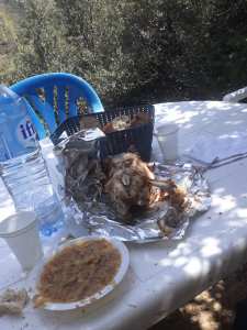 وجبة غداء في الهواء الطلق عند السبتي لكحل بالكانطينة يابوس