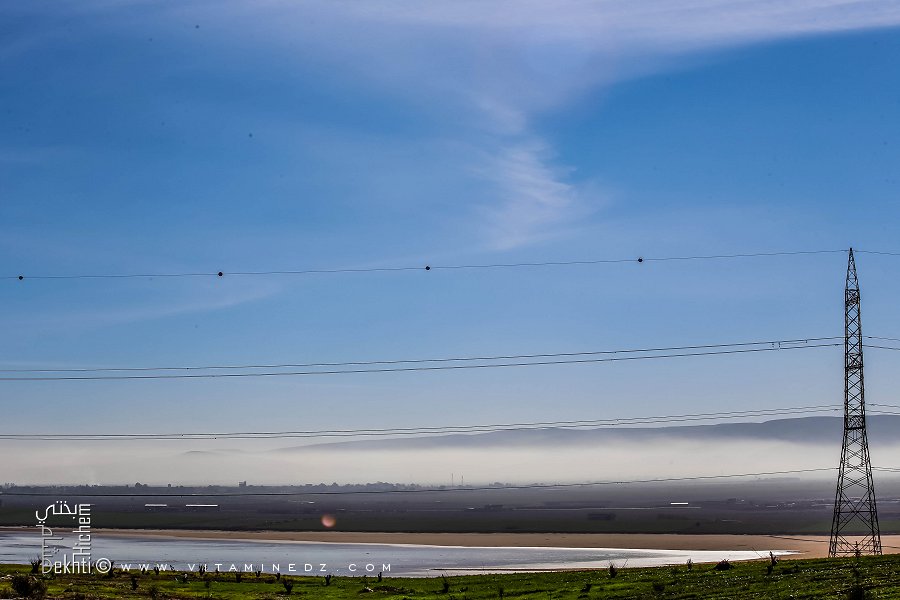 Lac salé de Daiet El Bagrat ضاية البقرات