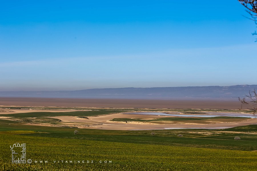 La Grande Sebkha d'Oran vue de la rive sud (Commune d'El Kerma)
