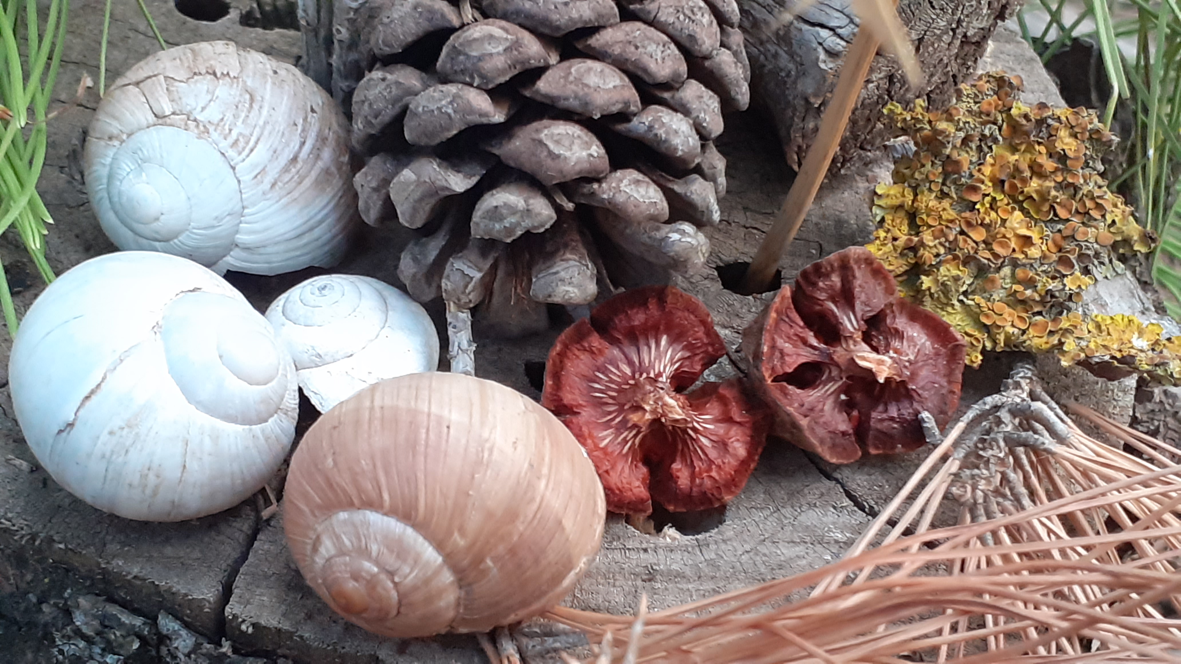 Couleurs de la nature