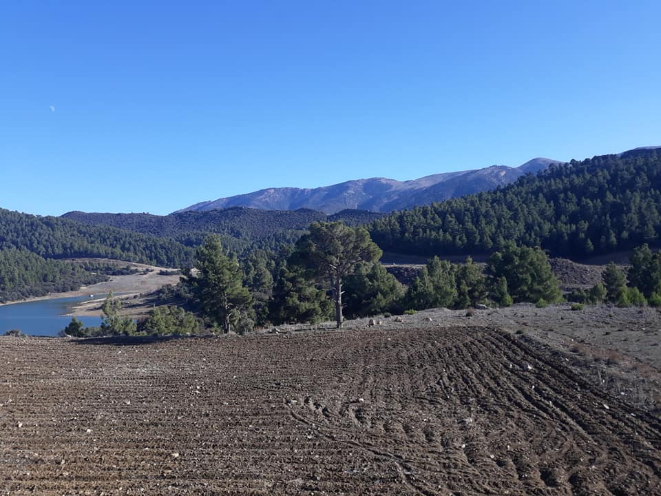 السياحة بجبل شيليا بلدية يابوس