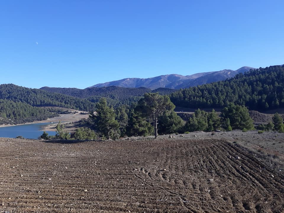 سد يابوس ولاية خنشلة