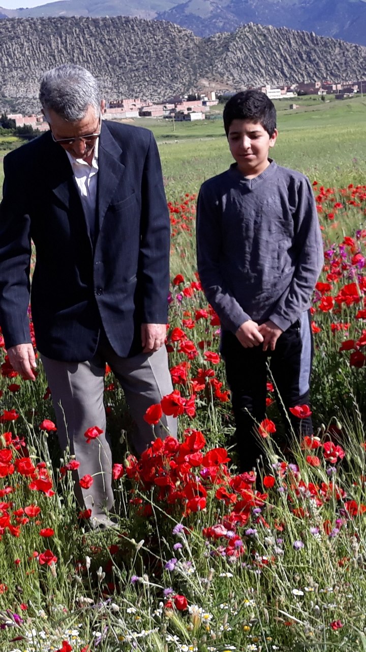 الحقول في الربيع