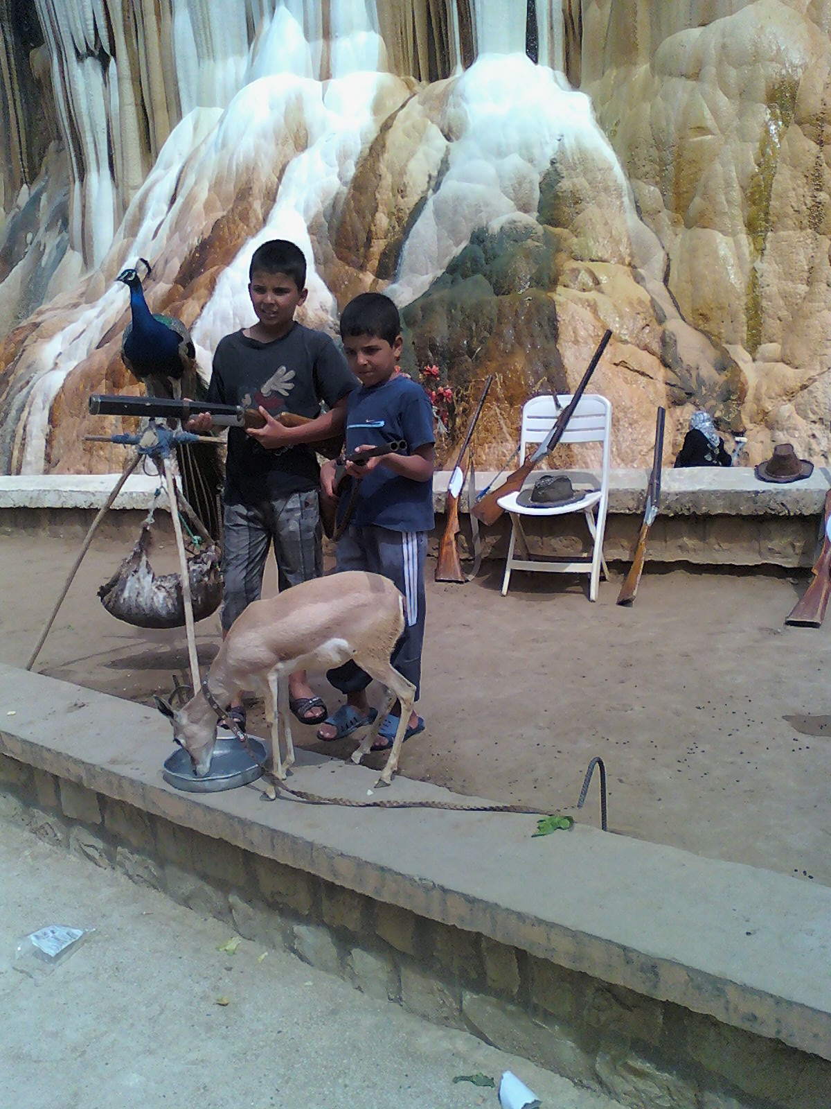 الأحفاد.. رياحين الحياة........مروان وشاوشي........بحمام الدباغين