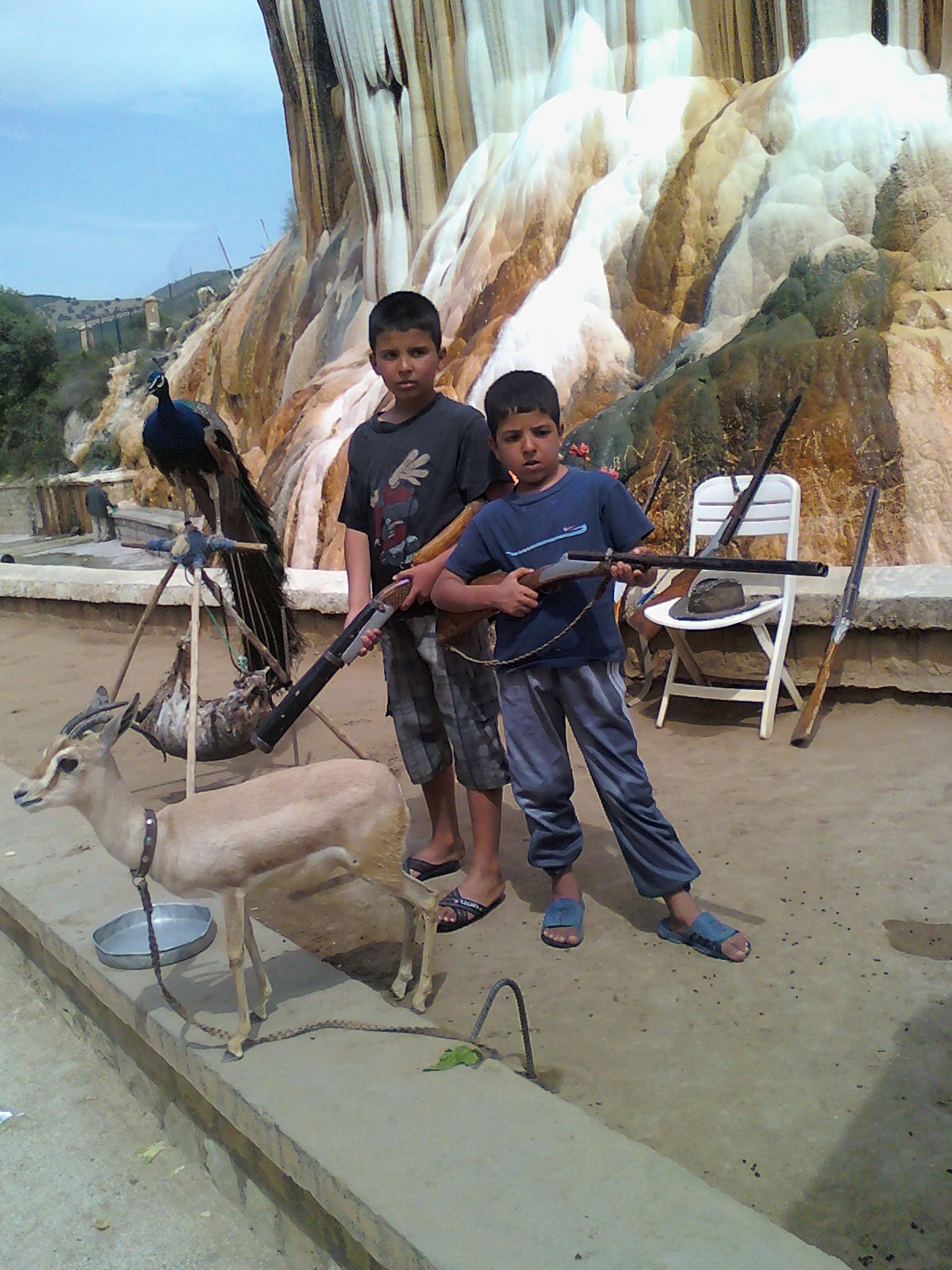 الأحفاد.. رياحين الحياة........مروان وشاوشي........بحمام الدباغين