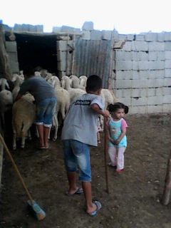 الأحفاد.. رياحين الحياة