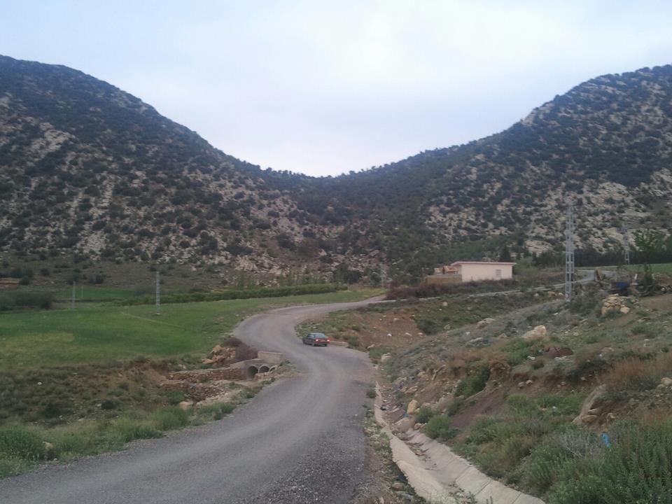 الطبيعة في فصل الربيع بيابوس.