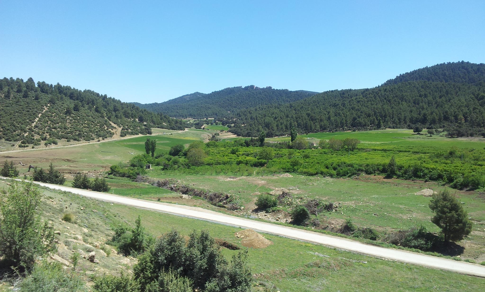 الطبيعة في فصل الربيع بيابوس.