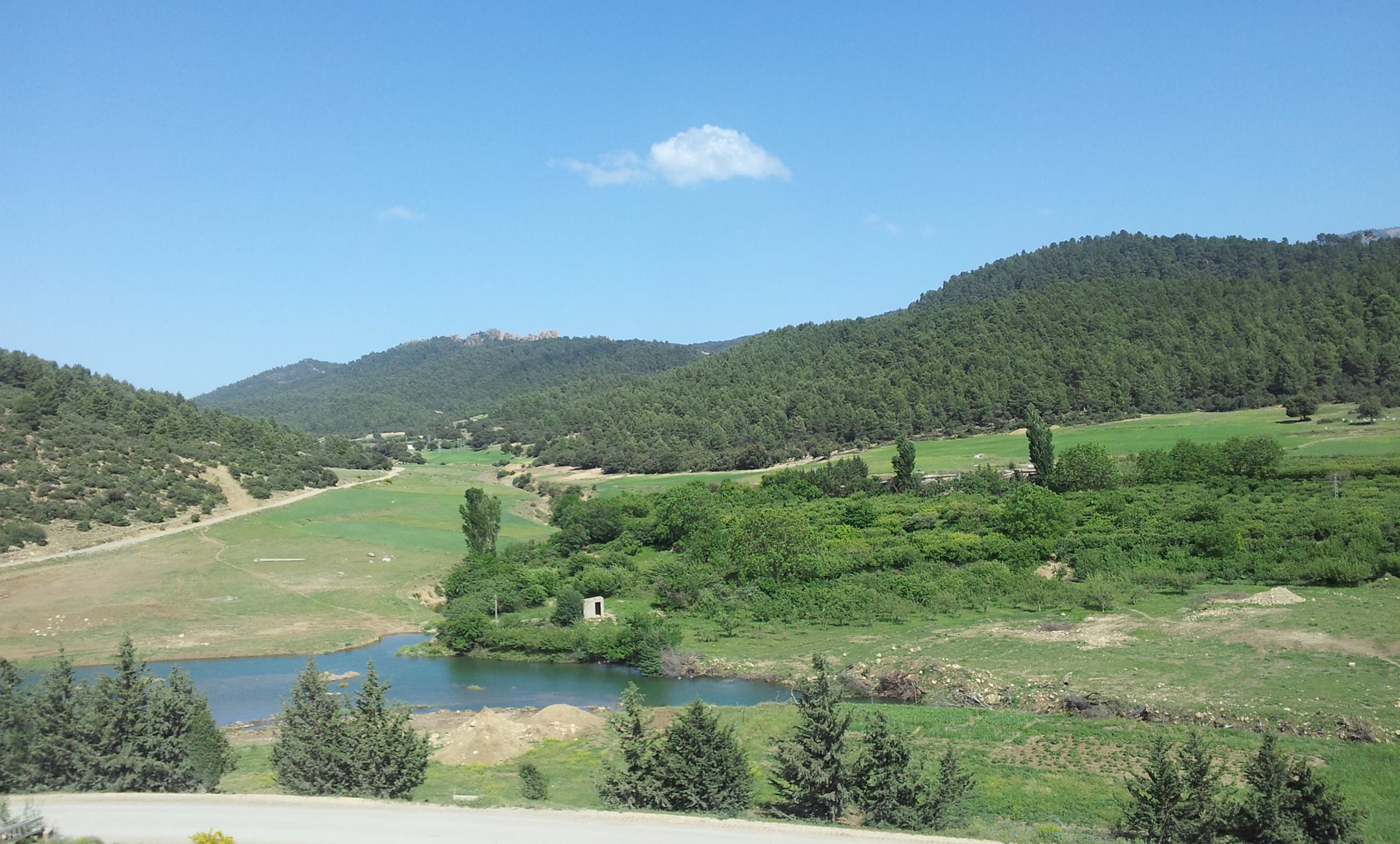 الطبيعة في فصل الربيع بيابوس.