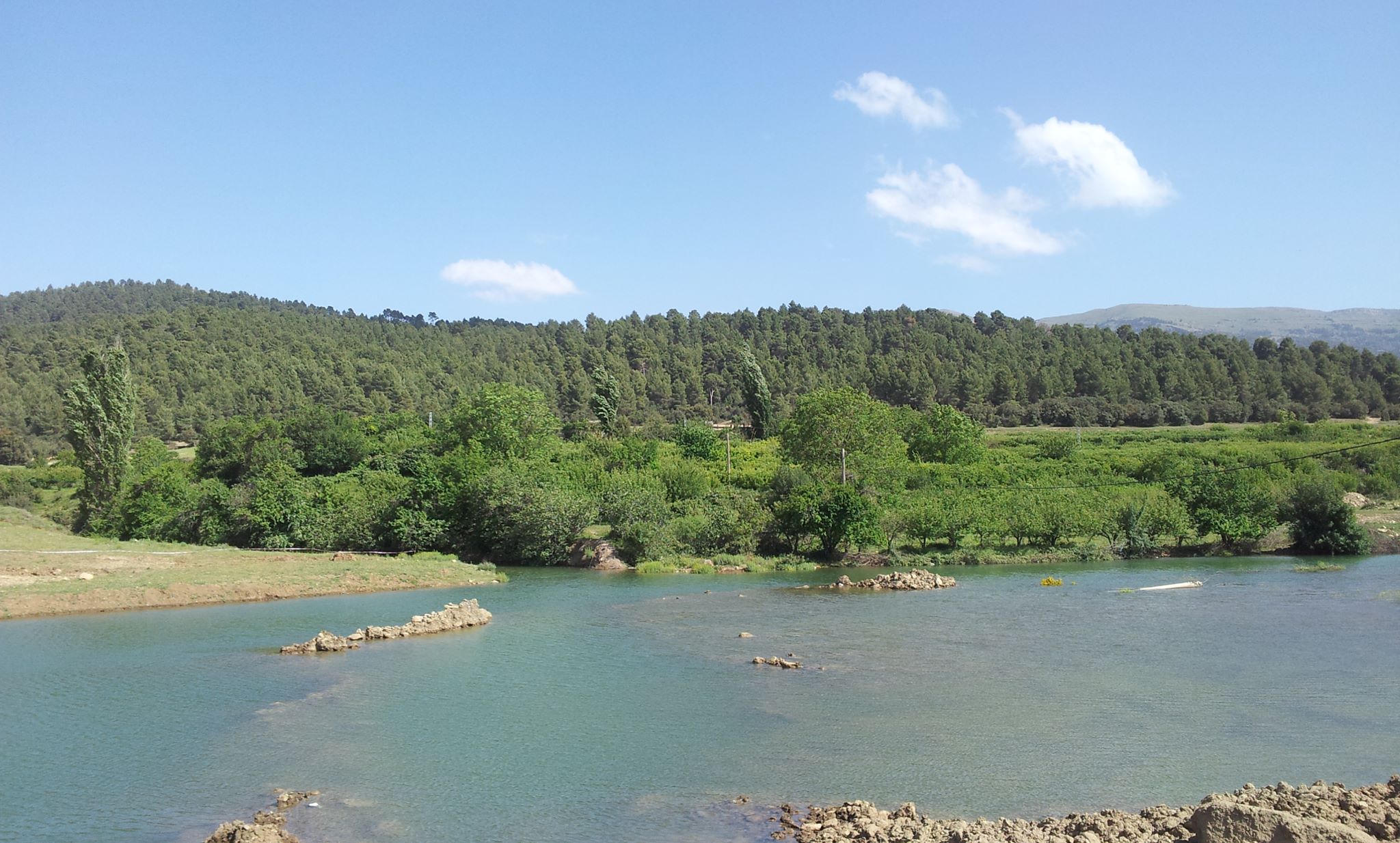 الطبيعة في فصل الربيع بيابوس.