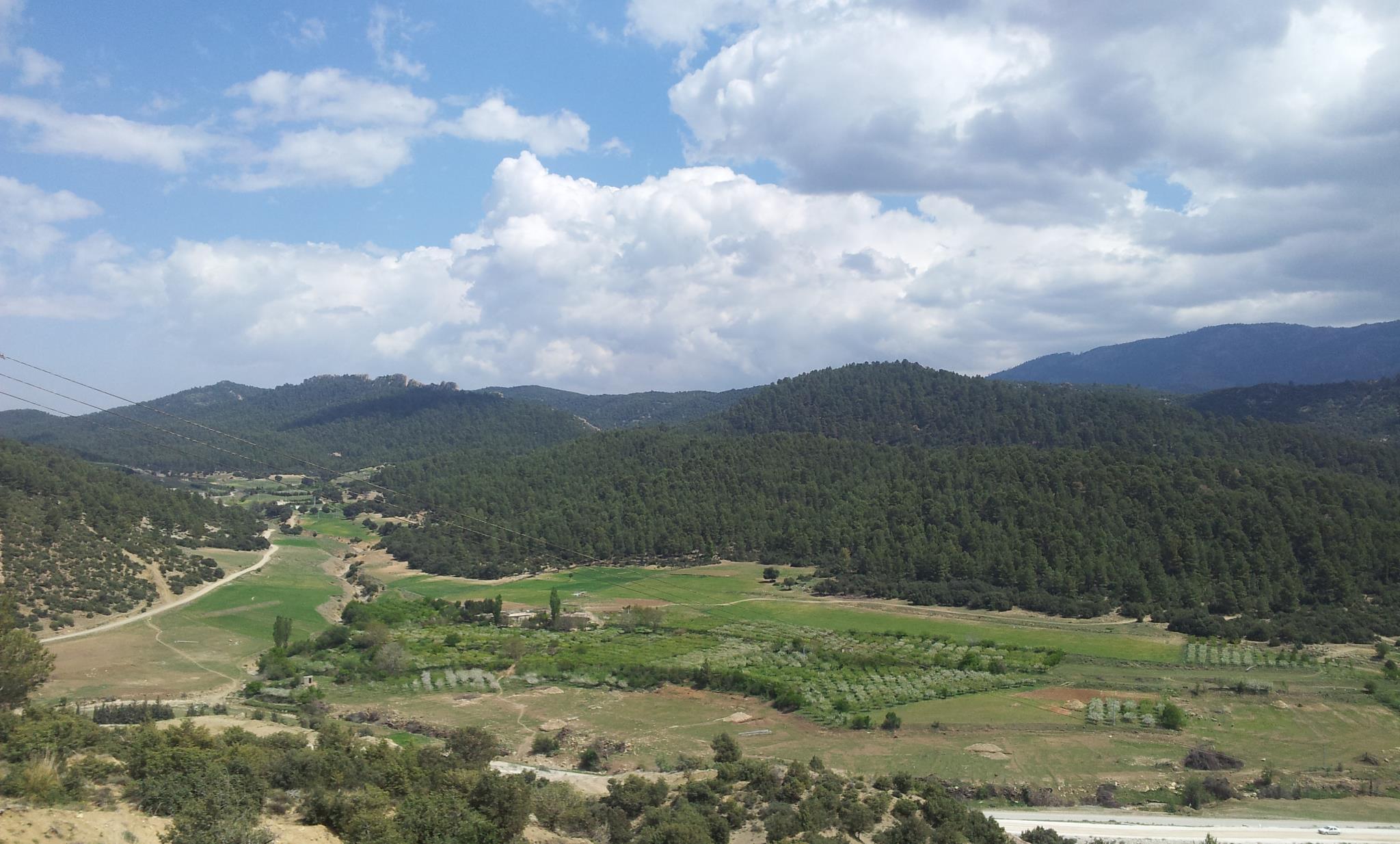 الطبيعة في فصل الربيع بيابوس.