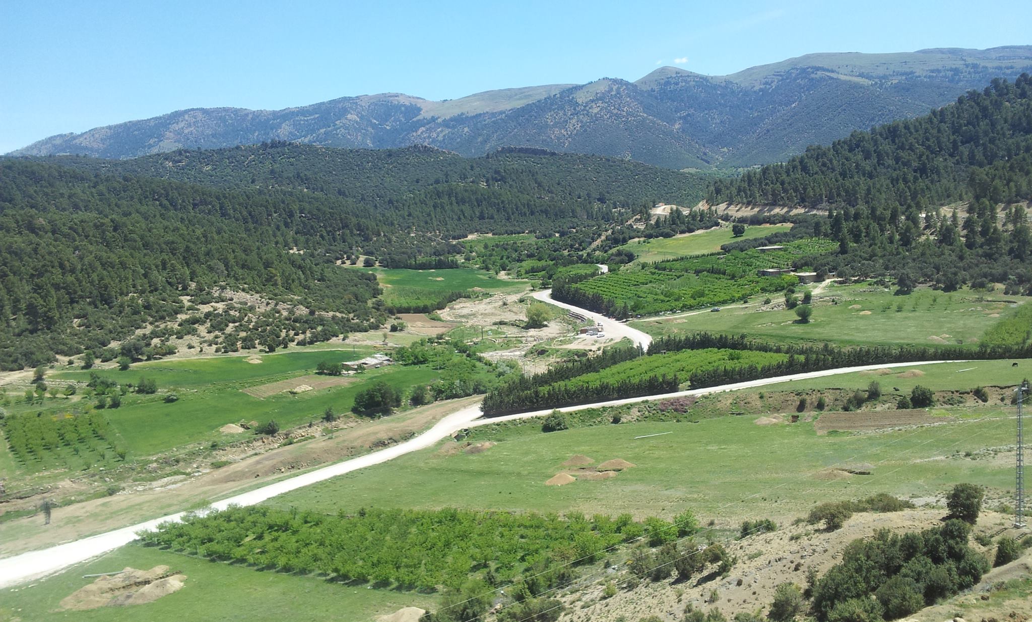 الطبيعة في فصل الربيع بيابوس.