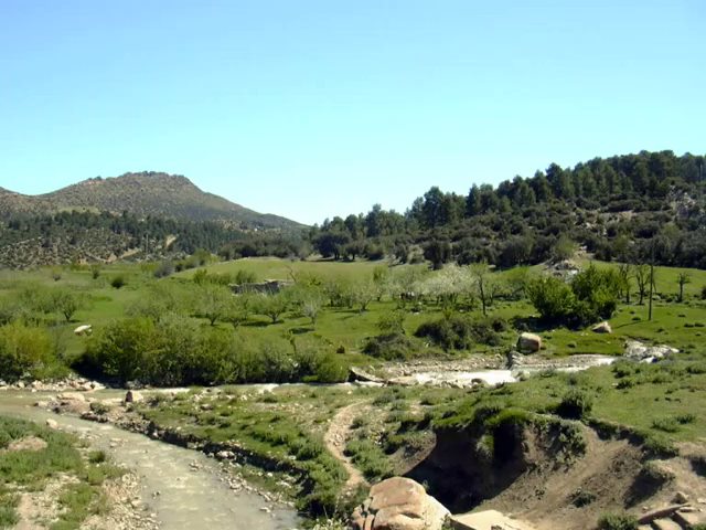 الطبيعة في فصل الربيع بيابوس.