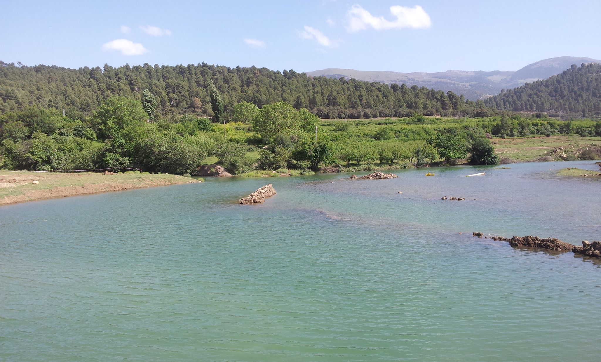 الطبيعة في فصل الربيع بيابوس.