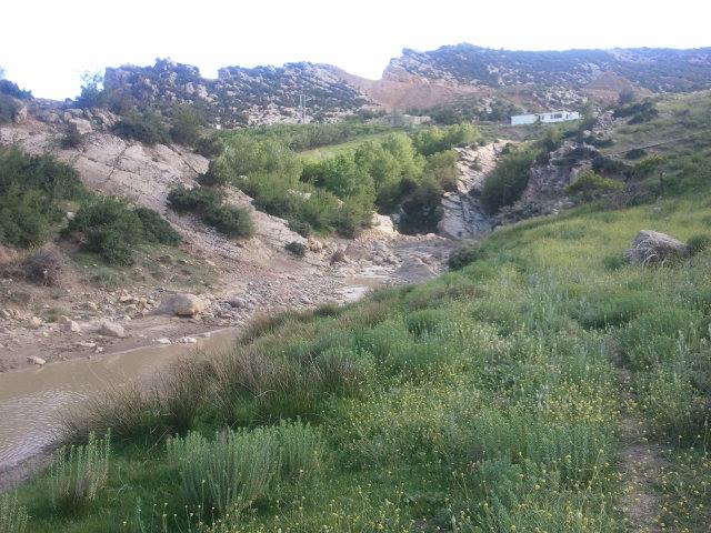 الطبيعة في فصل الربيع بيابوس.