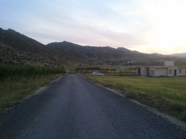 الطبيعة في فصل الربيع بيابوس.