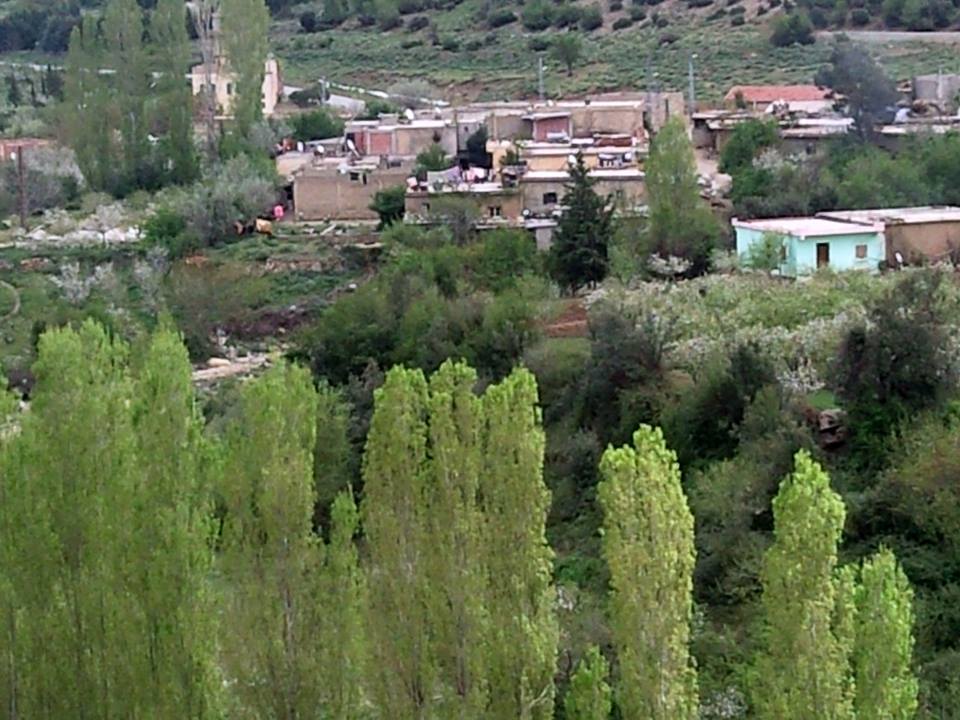 الطبيعة في فصل الربيع بيابوس.