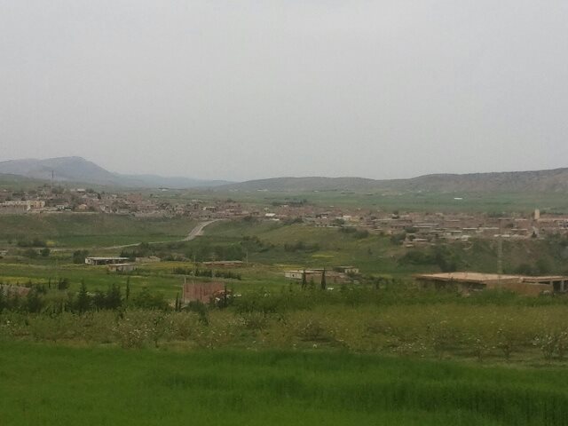 آفاق اقتصادية واعدة لزراعة التفاح ببلدية يابوس خاصة مع انجاز سد يابوس .