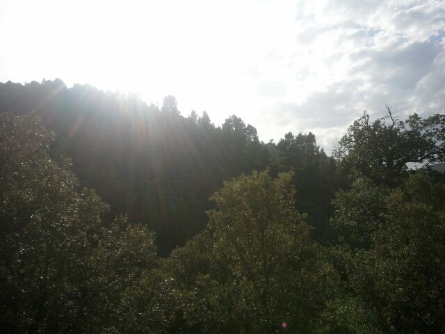 la nature de reveille.