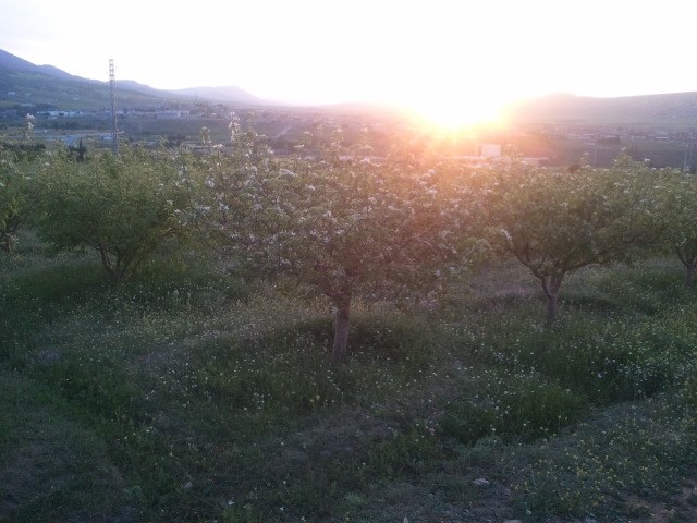 la nature se reveille