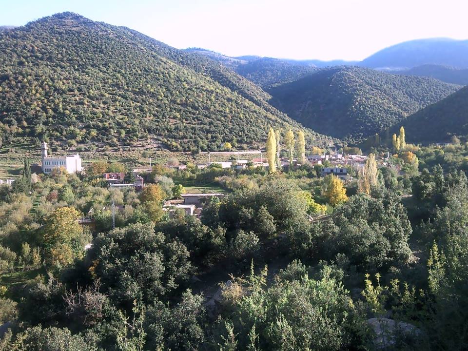 La saison du Printemps à Yabous