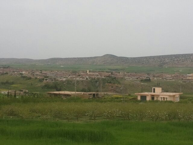 La saison du Printemps à Yabous