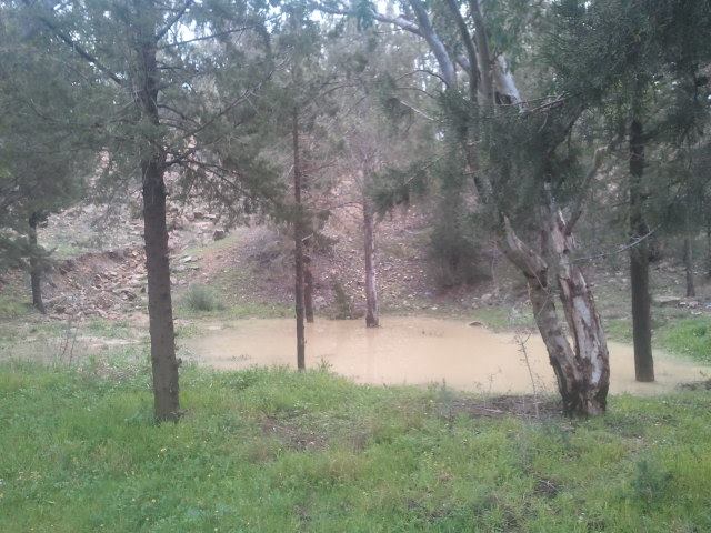 Aire de jeux en bois au Djebel Chaabet Khaled Yabous.