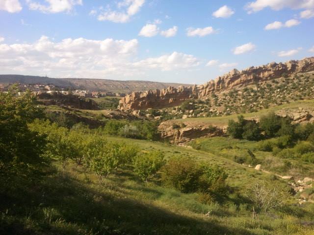 Un verger de pommier à Yabous Sud ...Bahlouli...