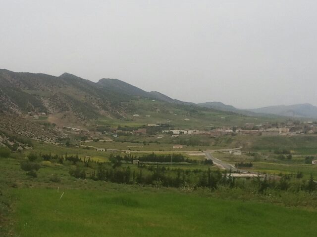 La saison du Printemps à Yabous