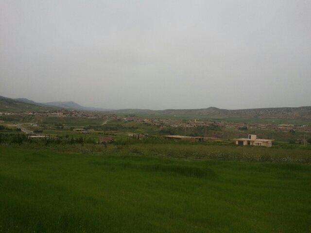 La saison du Printemps à Yabous