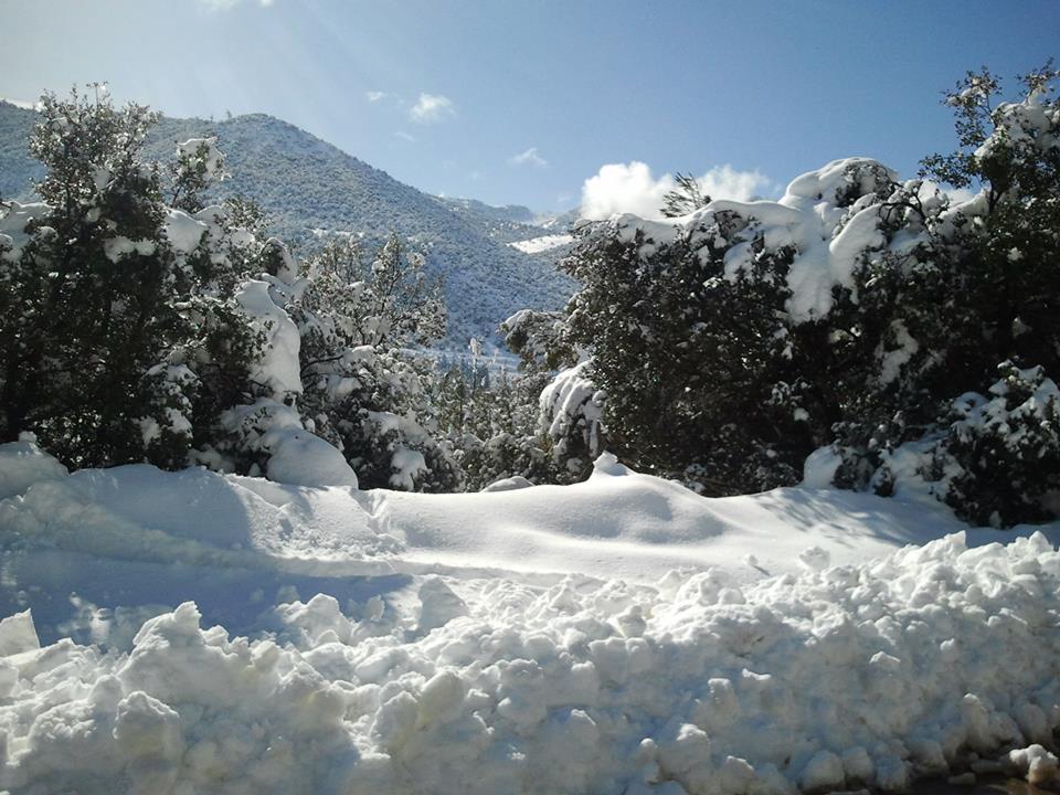Chélia recouverte de neige blanche