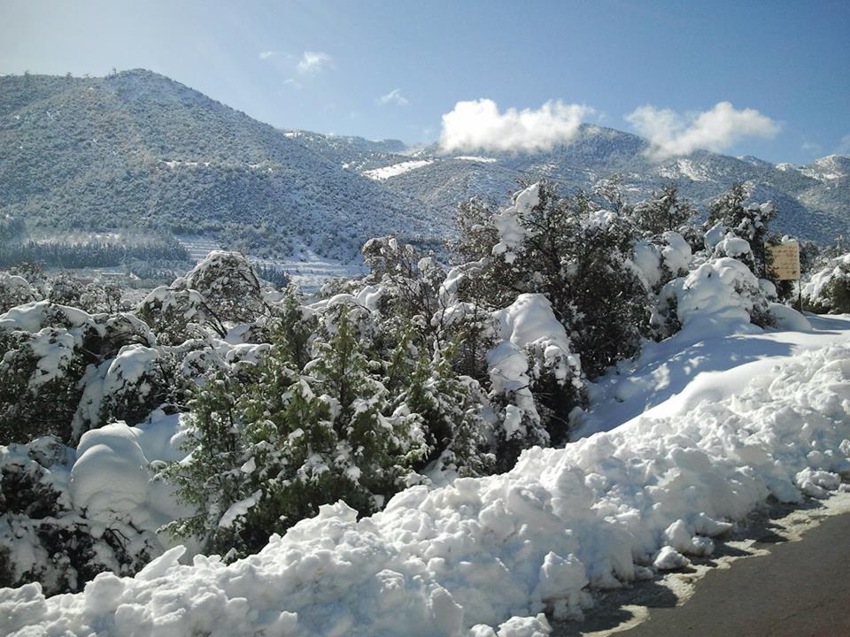 Chélia recouverte de neige blanche