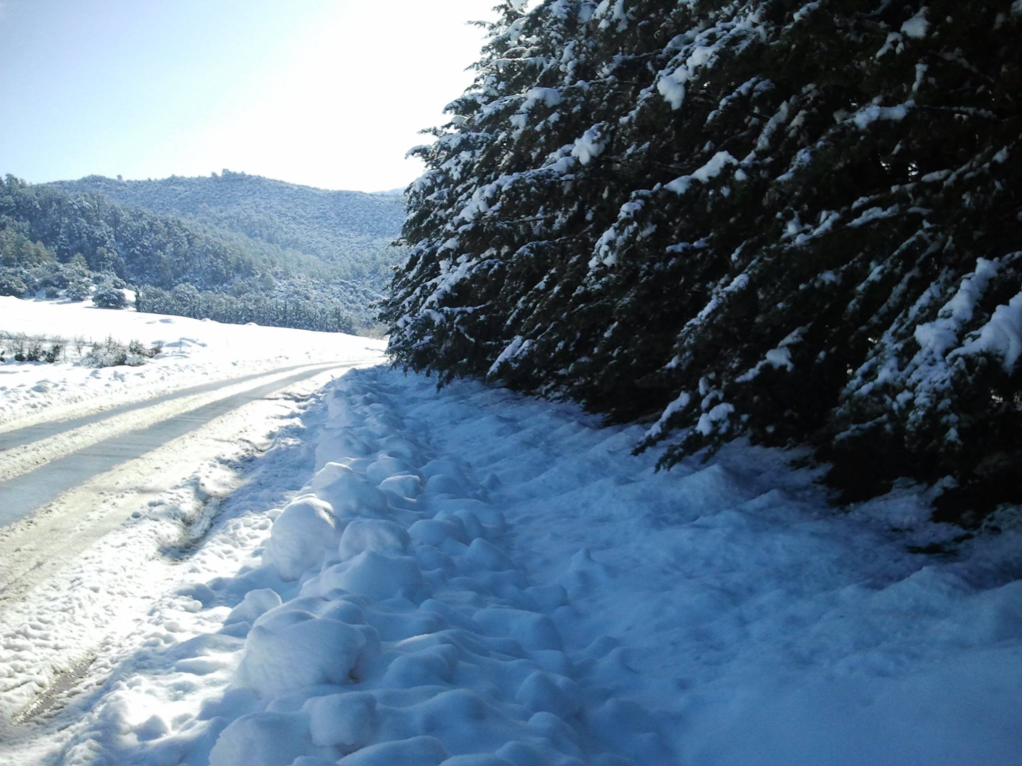 Chélia recouverte de neige blanche