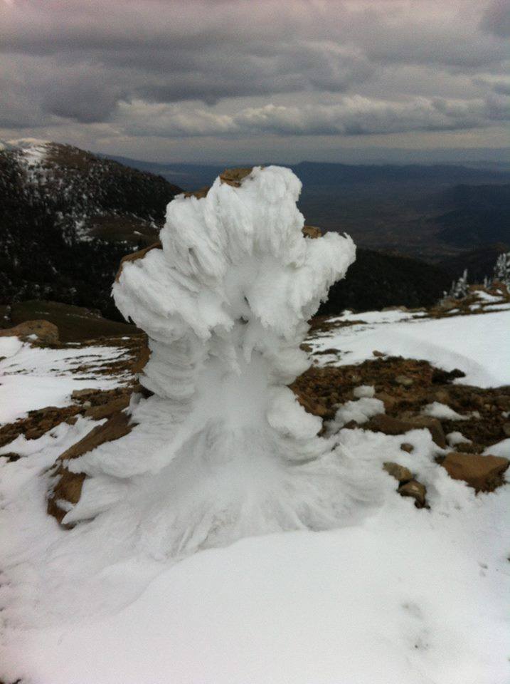 Chélia recouverte de neige blanche