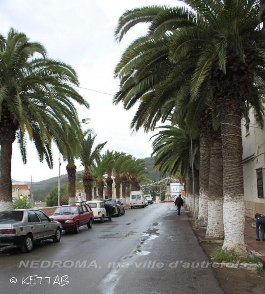 Tlemcen-Nedroma