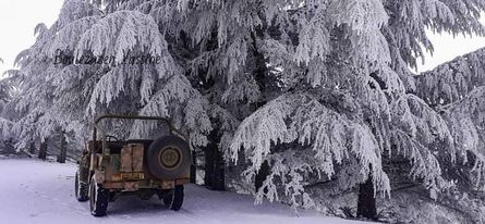 الثلوج تغطي قمة جبل شيليا في عز الربيع.
