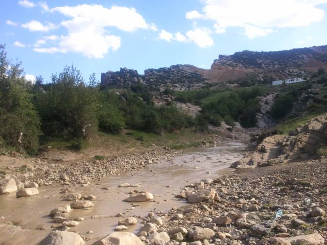 شليا بلدية يابوس في فصل الربيع.