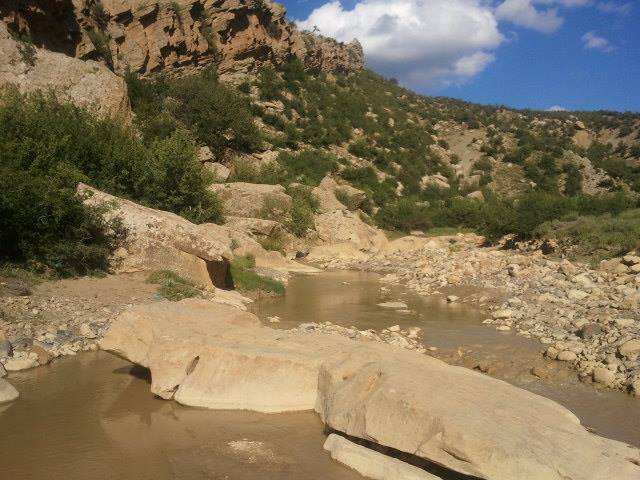 شليا بلدية يابوس في فصل الربيع.