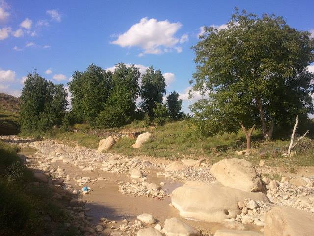 شليا بلدية يابوس في فصل الربيع.