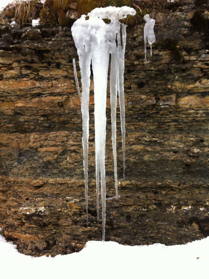 شليا بلدية يابوس في فصل الربيع.