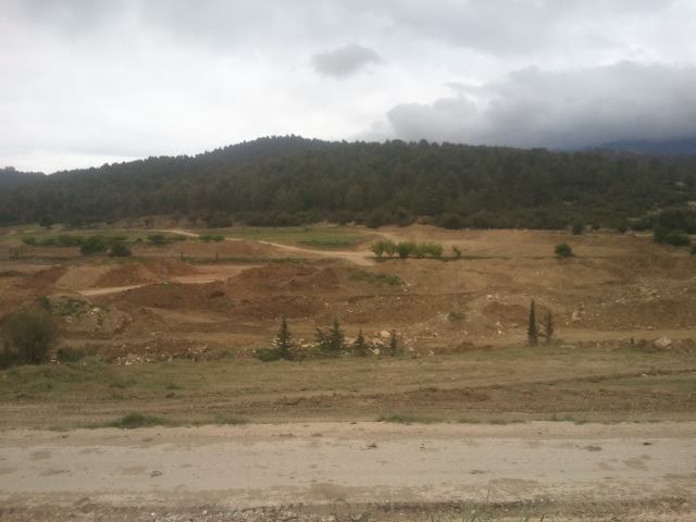 شليا بلدية يابوس في فصل الربيع.