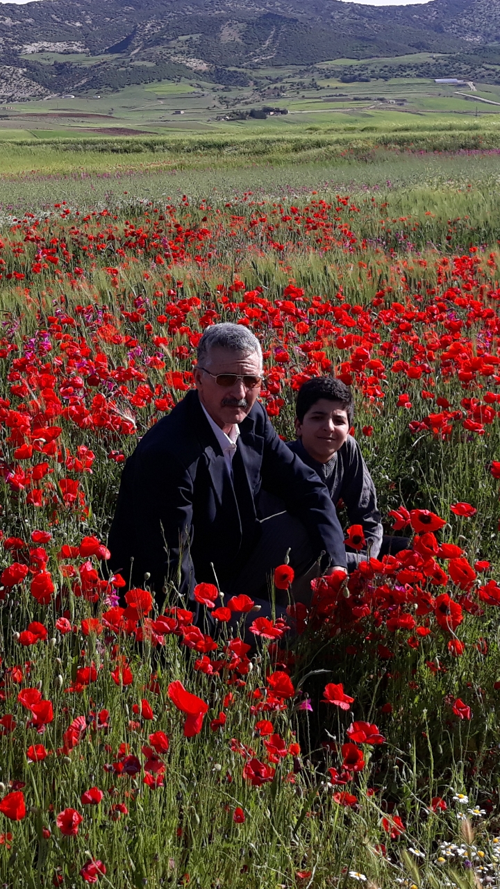 صورة من الطبيعة الساحة بجبل شليا بلدية يابوس