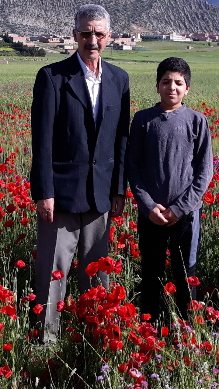 صورة من الطبيعة الساحة بجبل شليا بلدية يابوس