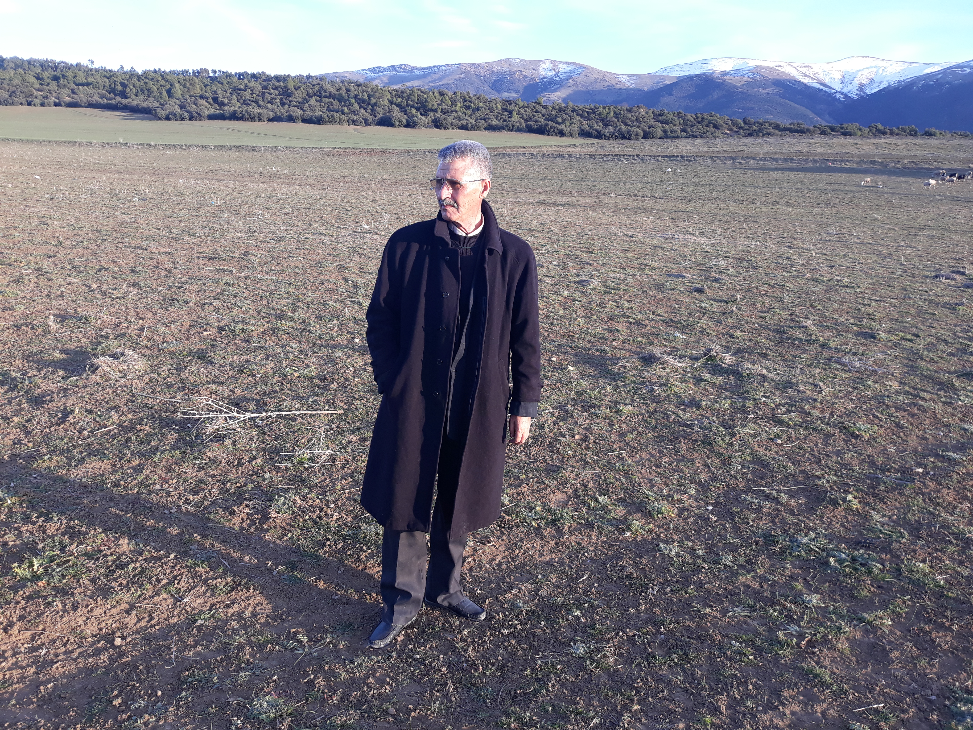 صورة من الطبيعة الساحة بجبل شليا بلدية يابوس