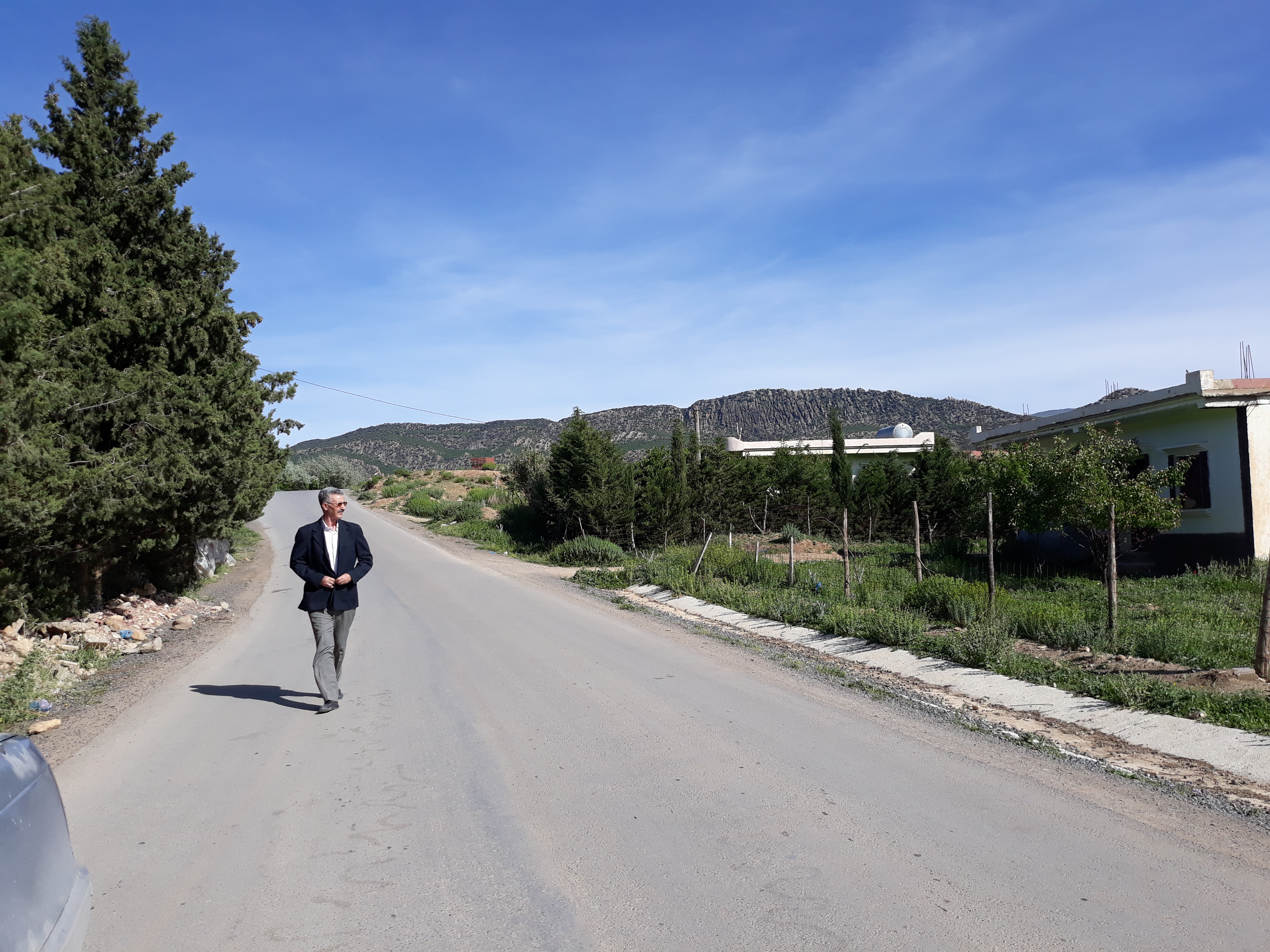 صورة من الطبيعة الساحة بجبل شليا بلدية يابوس