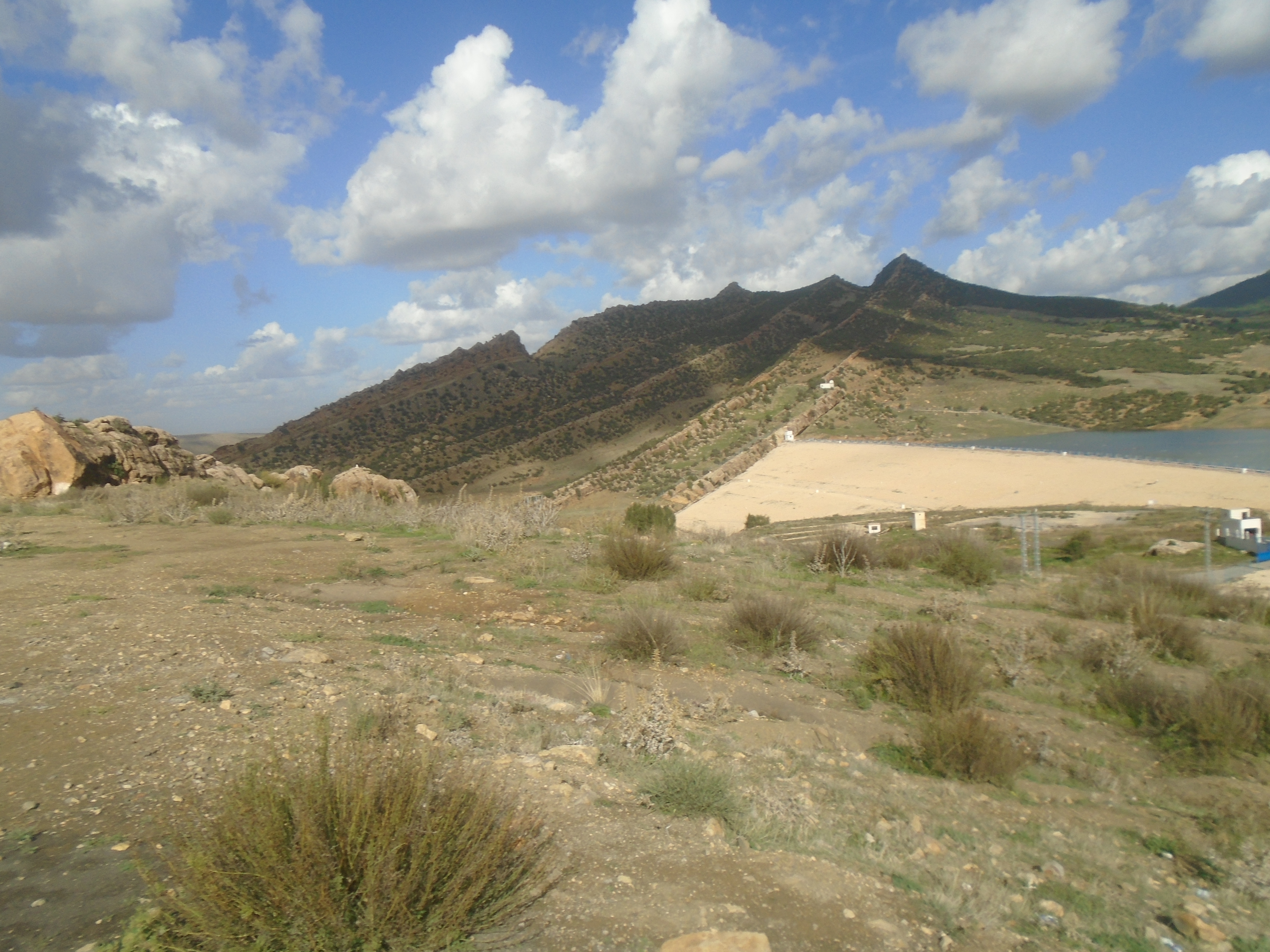 Tourisme de santé entre montagne et barrage:cas de Chelia.khenchela