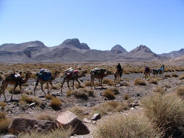 Ahaggar- Tamanrasset