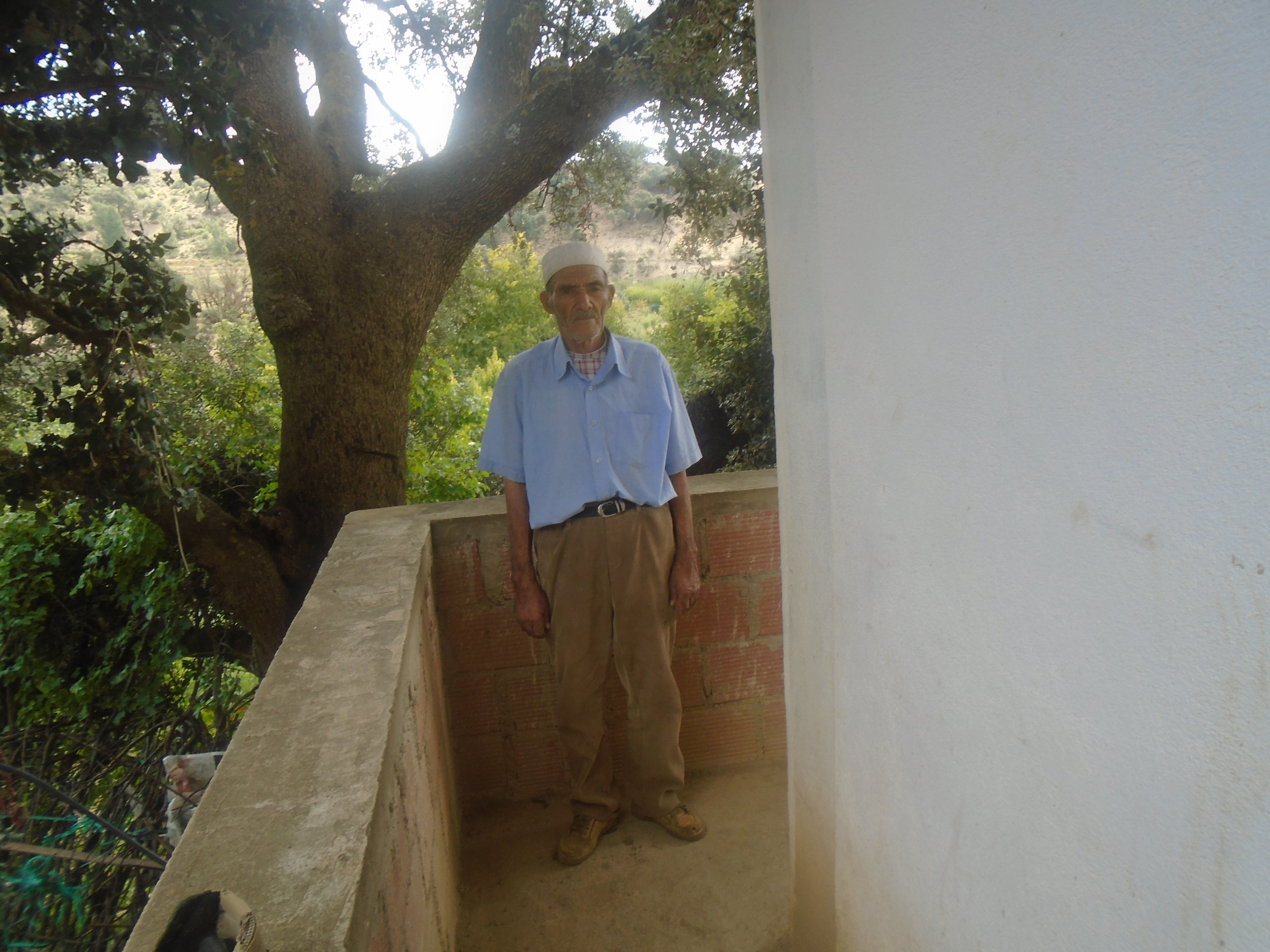 Une production record de la pomme à Yabous ...Khenchela...